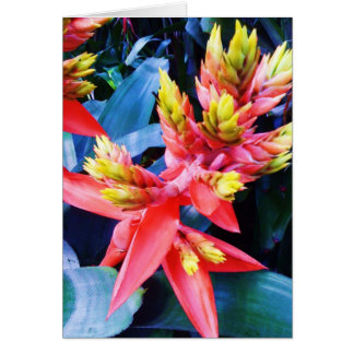 Tarjeta hermosa exótica de la flor del amarillo