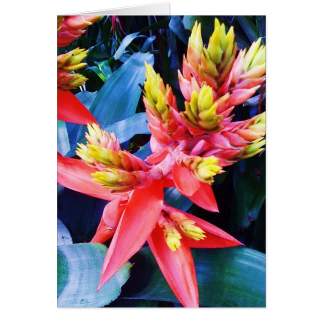 Tarjeta hermosa exótica de la flor del amarillo (Frente)