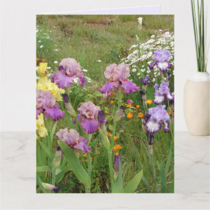 Tarjeta Hermosa Flor de Iris Morado foto floral