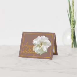 Tarjeta Hermosa Flor de Rosa Blanca Bonito Cumpleaños Feli