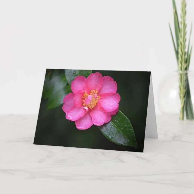 Tarjeta Hermosa flor rosa de camellia tras la lluvia (Anverso)