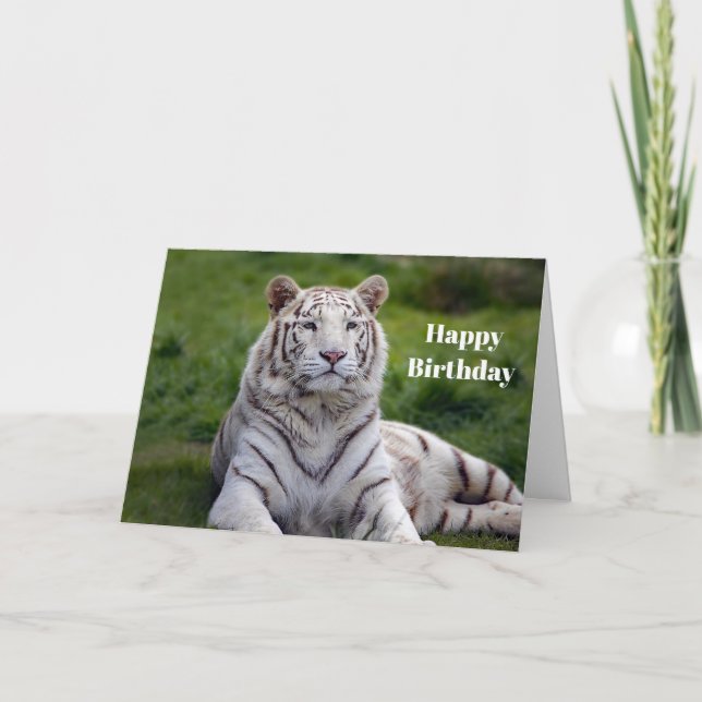 Tarjeta Hermosa foto de tigre blanco cumpleaños (Anverso)
