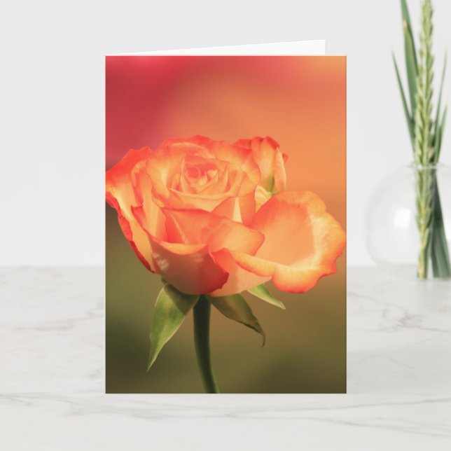 Tarjeta Hermosa fotografía romántica Rosa (Anverso)