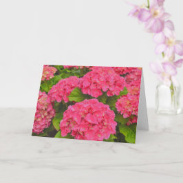 Tarjeta Hermosa Hydrangea Rosa Jardín Flor Arte