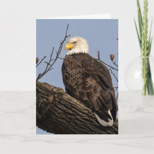 Tarjeta Hermosa mamá (Águila)