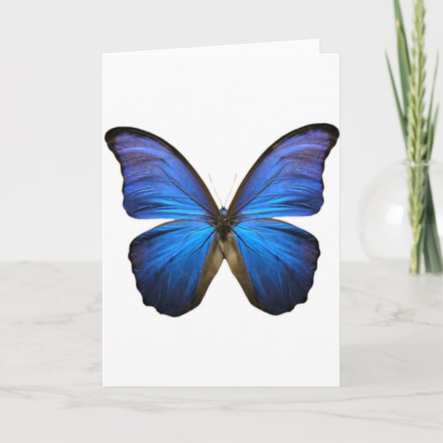 Tarjeta Hermosa mariposa azul eléctrico (Anverso)