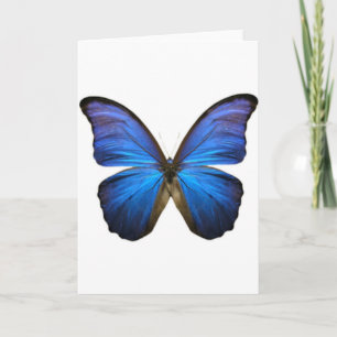 Tarjeta Hermosa mariposa azul eléctrico
