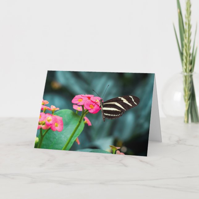 Tarjeta Hermosa mariposa en una flor rosa (Anverso)