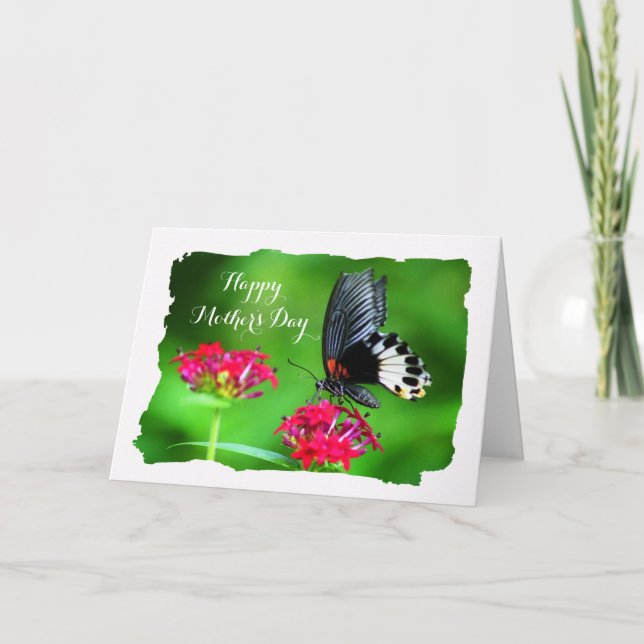 Tarjeta Hermosa Mariposa (Gran Mormon) Día de la Madre (Anverso)