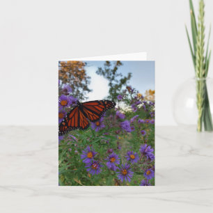 Tarjeta Hermosa mariposa sobre acianos 
