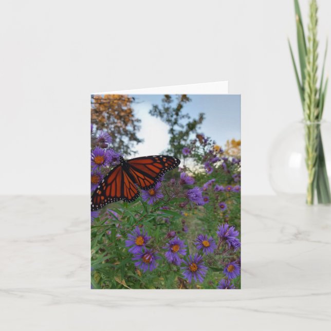 Tarjeta Hermosa mariposa sobre acianos  (Anverso)