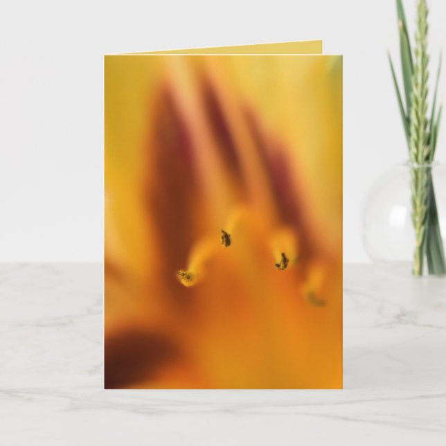 Tarjeta Hermosa Naranja abstracta Tiger Lily Flower Blank (Anverso)