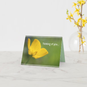 Tarjeta Hermosa naturaleza floral de la mariposa amarilla