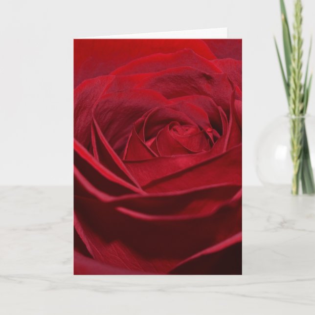 Tarjeta Hermosa Rosa Roja (Anverso)
