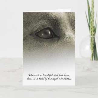Tarjeta Hermosa Simpatía de Perro de Alma - Ver Descripció