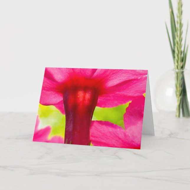 Tarjeta Hermosa, suave y rosa naturaleza floral (Anverso)