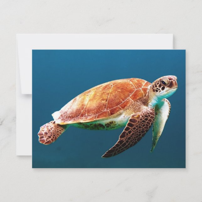 Tarjeta Hermosa tortuga de mar verde (Anverso)