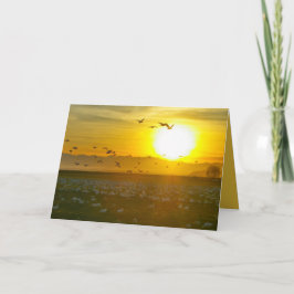 Tarjeta Hermosas aves silvestres al atardecer, paisaje