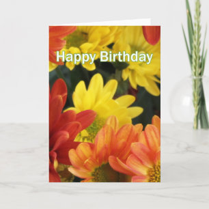 Tarjeta Hermosas flores de margarita naranja, amarillo fel