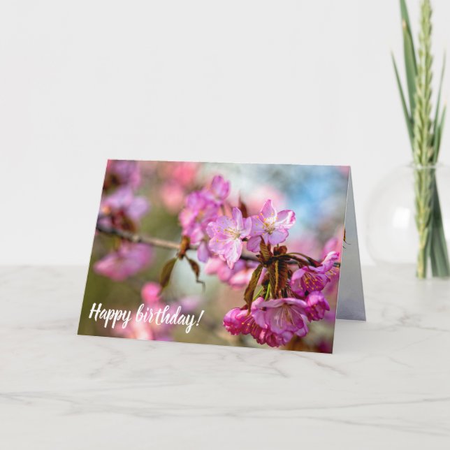 Tarjeta Hermosas Flores De Sakura Rosa En El Jardín De La  (Anverso)