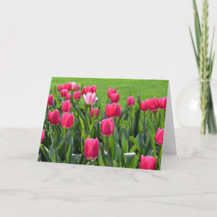 Tarjeta hermosas flores de tulipán rosa de primavera feliz