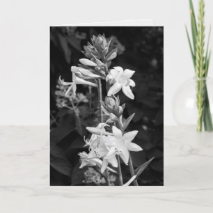 Tarjeta Hermosas Flores Negras y Blancas Día de la Madre