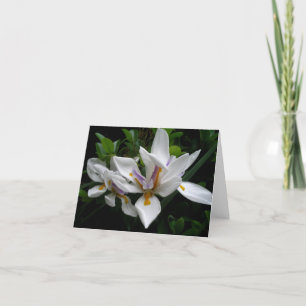 Tarjeta Hermosas flores notecard
