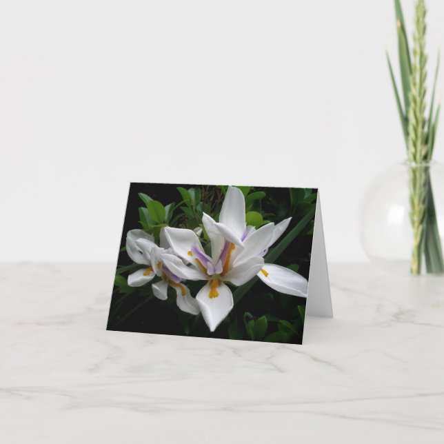Tarjeta Hermosas flores notecard (Anverso)