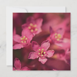 Tarjeta Hermosas flores rosas