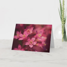 Tarjeta Hermosas flores rosas