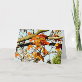 Tarjeta Hermosas hojas de otoño bendiciones de otoño