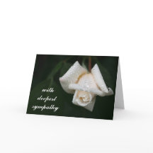 Hermosas hojas verdes simpatía por las flores de r