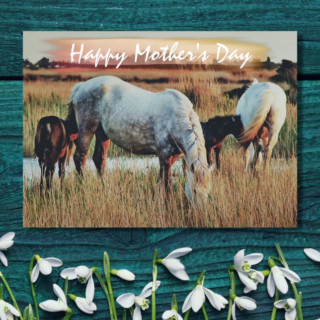 Tarjeta Hermosas Mares y Foals Horse Scene's Day (Subido por el creador)