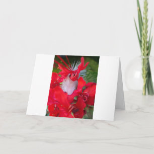 Tarjeta Hermoso Alien Crimson.jpg