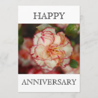 Hermoso aniversario feliz de Carnación