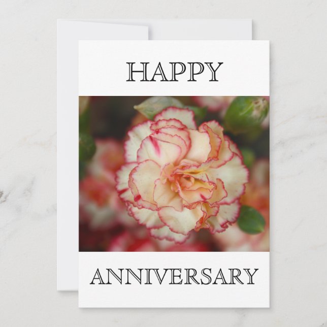 Tarjeta Hermoso aniversario feliz de Carnación (Anverso)