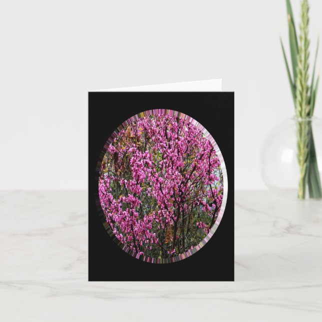 Tarjeta Hermoso árbol Red Bud..... (Anverso)