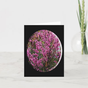 Tarjeta Hermoso árbol Red Bud.....