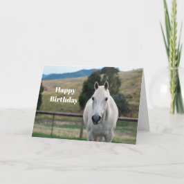 Tarjeta Hermoso Caballo Blanco Apaloosa Foto Cumpleaños