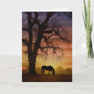 Tarjeta Hermoso caballo en el cumpleaños del atardecer del
