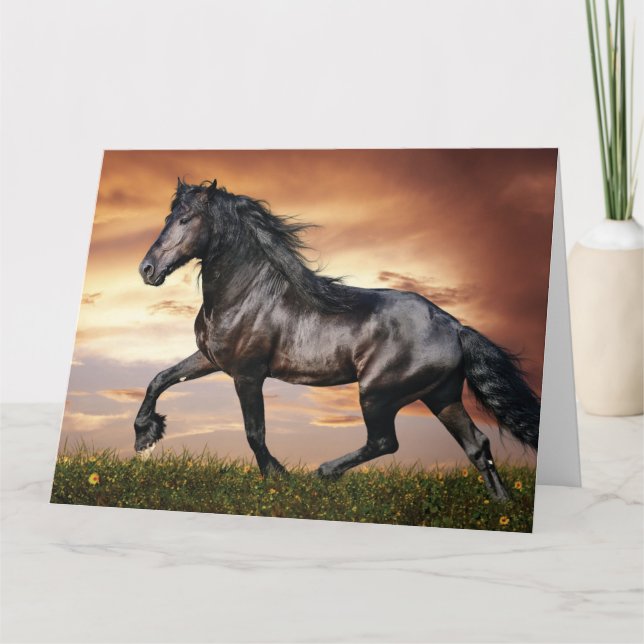Tarjeta Hermoso caballo negro (Anverso)