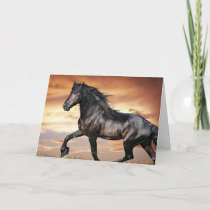Tarjeta Hermoso caballo negro