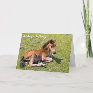 Tarjeta Hermoso cacahuete de castaño, caballo de bebé - Ta