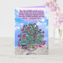 Hermoso Cactus Cholla Escritura 1 Samuel 16:7