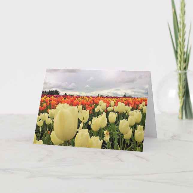 Tarjeta Hermoso Campo de Tulipanes, Oregon (Anverso)