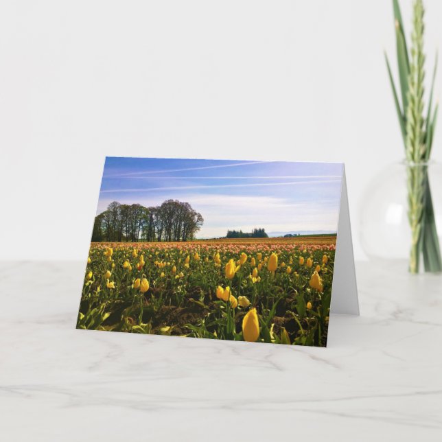 Tarjeta Hermoso Campo Tulipán, Oregón (Anverso)