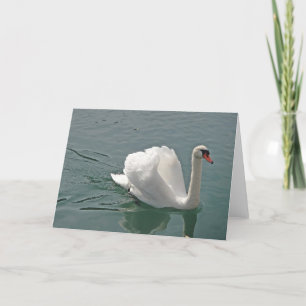Tarjeta Hermoso cisne blanco