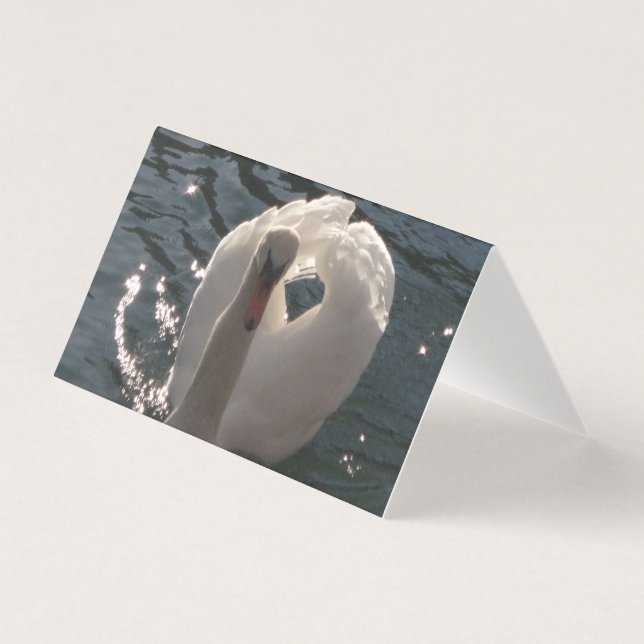 Tarjeta Hermoso cisne blanco (Anverso)