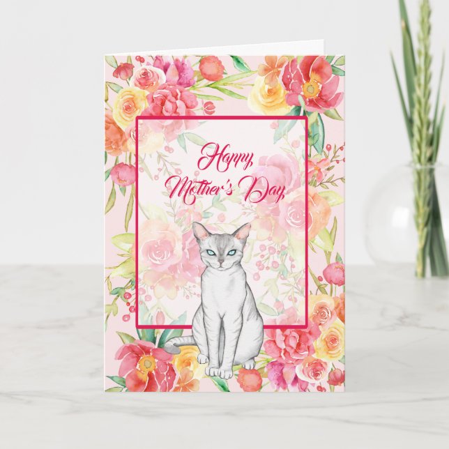 Tarjeta Hermoso gato blanco con flores acuáticas (Anverso)
