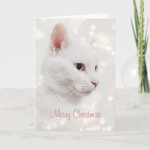 Tarjeta Hermoso gato blanco con vacaciones en Navidades